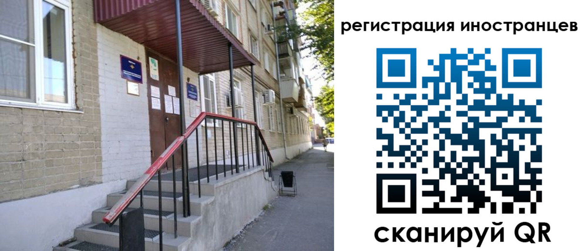 прописка поиск в Светлом